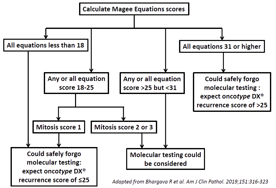 Magee Decision Algorithm Flowchart